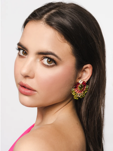 Elegant Multi Gemstone Earrings